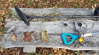 Metal Detecting - Another Lost Ring He Says