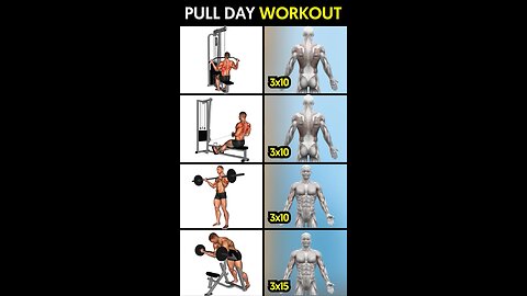 Pull Day Back and Bicep Workout in the Gym