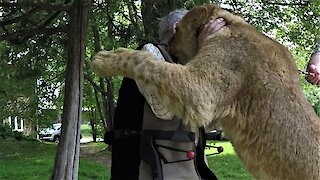 War hero gets a heart warming hug from a lion