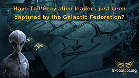 Have Tall Gray alien leaders just been captured by the Galactic Federation?