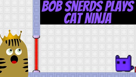Bob Snerds plays "Cat Ninja: The Quest for the Magical Energy Crystals"