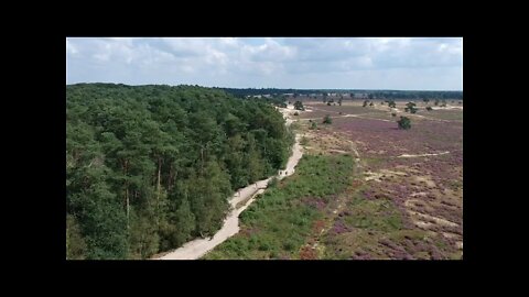 Drunense Duinen en Heide