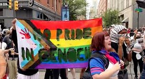 Woke Civil war: Gay Pride Vs. Pro-Palestidiots!