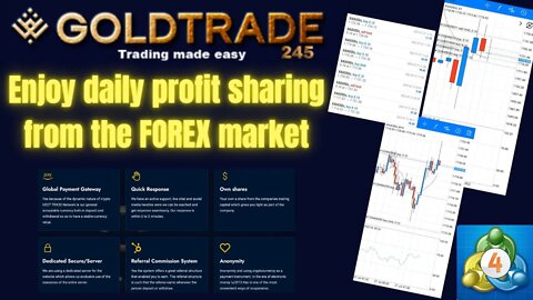 GOLDTRADE 245 Review | Transparency Is The Key 🔑 | Watch Your Balance Grow