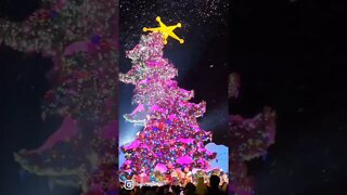 Universal Studios Hollywood Grinchmas Tree Lighting 2021
