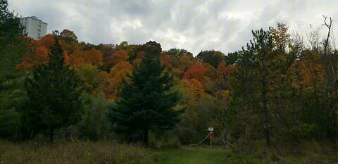 Morningside Park, Ontario, Canada. Autumn Colors at peak,A Scenic walk. Oct,19,2023.Peace and Charm.