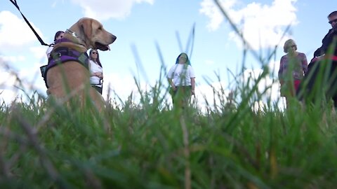 Canines for Change, a local non-profit training service dogs for veterans and people with disabilities, received a $1300 donation from Fox 47 News.