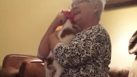 Grandma's priceless reaction to Christmas puppy