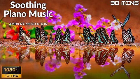 Beautiful Relaxing Music | Peaceful Soothing Instrumental Music | Stress Relief | Nature Relaxation