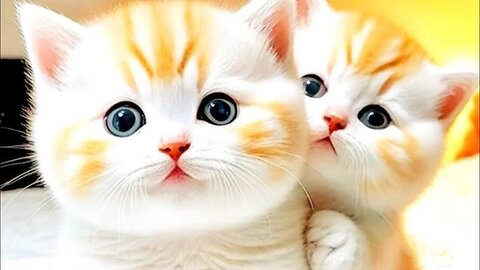 Cute Kittens - Funny and Cute Cat Videos Compilation 2024.