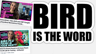 Breanna Morello | Facial Recognition Software In US Airports? TSA, DHS & CBP Working Together to Normalize Facial Recognition-Based Surveillance State? + Michigan's Largest Egg Farm Lays Off 400 Workers Amid Bird Flu Outbreak?