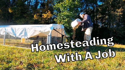 Homesteading With A FULL Time JOB - Protecting From Food Shortage | Become Self Sufficient