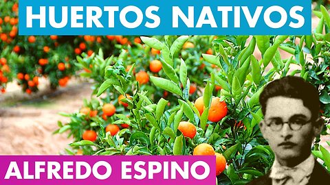 HUERTOS NATIVOS ALFREDO ESPINO 🌿🌱 | Jícaras Tristes Casucas 🎋 | Alfredo Espino Poemas, Valentina Zoe