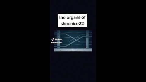 ShoeNice22 Organs