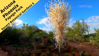 Arizona Phoenix Desert Botanical Garden in Papago Park 5