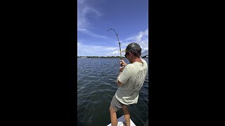 What Shark did he just catch?? #fishing #shark #florida #trend #viral #rumble