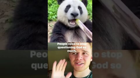 Jesus and a panda GOING IN 😂