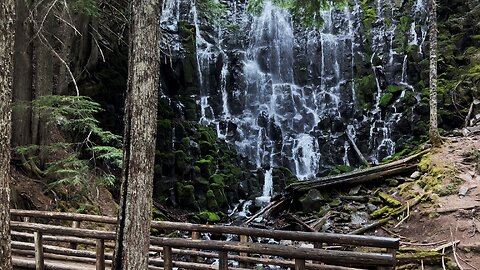 SILENT PERSPECTIVES of Ramona Falls & Rustic Log Bridge! | 4K | Timberline | Mount Hood | Oregon