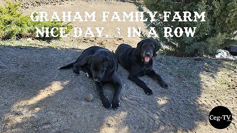 Graham Family Farm: Nice Day, 3 in a Row