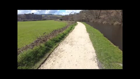 How the Canal Changed this year