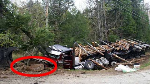 Logging Truck Hits A Bigfoot In Copper Mountain, Canada
