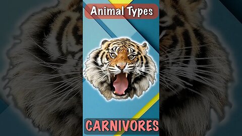 Apex Carnivorous Animals | Top Predators | Tiger #shorts #tiger