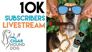 10K Subscribers Livestream Celebrating @cigarhounddog