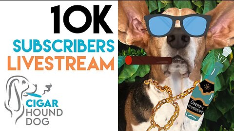 10K Subscribers Livestream Celebrating @cigarhounddog