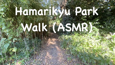 Autumn Leaves at Hamarikyu Park (ASMR) 浜離宮庭園紅葉