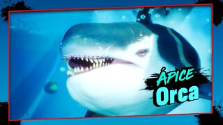 Maneater, Ápice Orca Boss Fight - Gameplay PT-BR #8