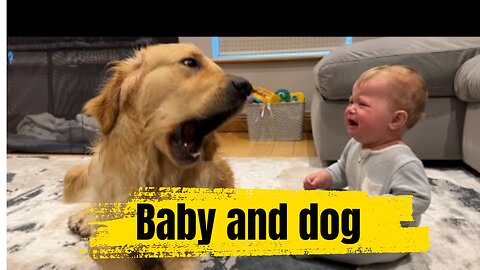 Baby and dog play time
