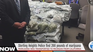 Sterling Heights pot bust