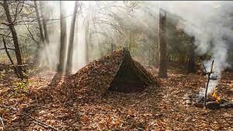 Building a Bushcraft Survival Shelter | Cooking on Coals | A Simple Way to Spend Time in the Wild