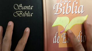 Bíblias em espanhol as minhas obras