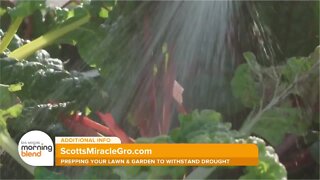 Prepping Your Lawn, Garden to Withstand Drought