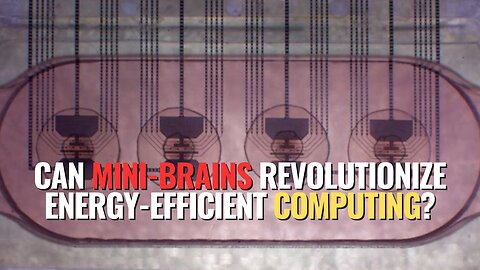 Can Mini-Brains Revolutionize Energy-Efficient Computing?