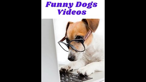 Dogs Doing Funny Things Compilation