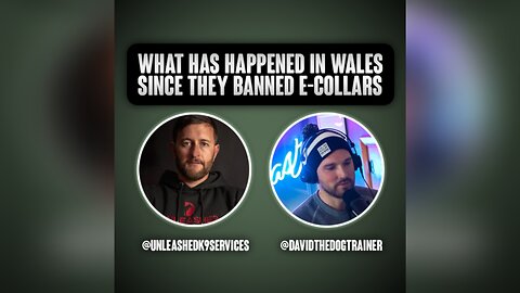 What has happened in Wales since they banned e-collars