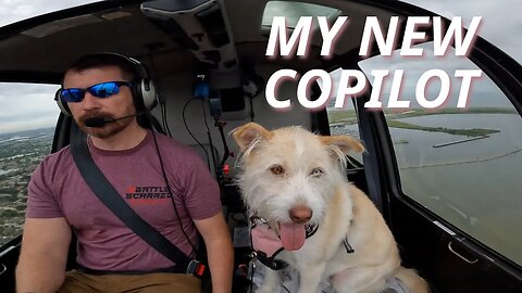 Canine Co-Pilot: Rescue Dog Flies in a Helicopter