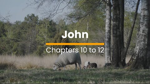 John 10, 11, & 12 - October 25 (Day 298)