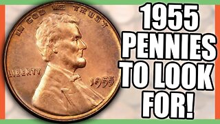 1955 LINCOLN PENNY WORTH MONEY - RARE PENNIES WORTH MONEY