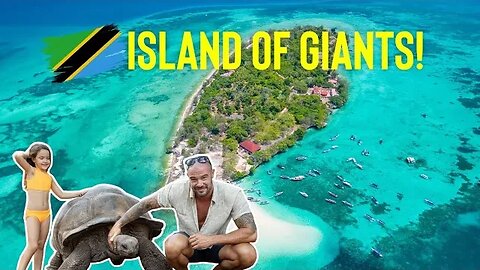 GIANTS in Zanzibar! | Prison Island, Nakupenda & NEW Co-working hotel