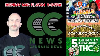 Cannabis News Update – Illegal NY Pot Shops Thriving, Strains from Yesterday Accapulco Gold , ..THCV