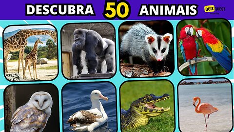 🐾🕒 DESAFIO: Identifique o Animal em 3 Segundos! Apenas 3% Acertam Todos!