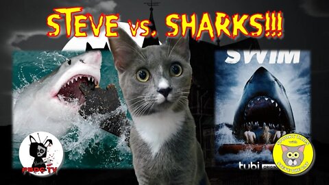 [ SWIM ]: Review of Tubi's Original Shark Attack Film "Swim"