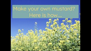 How to make your own mustard