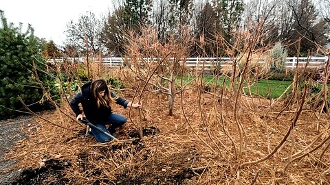 Taming the Sumac BEAST! ✂️💪🍂