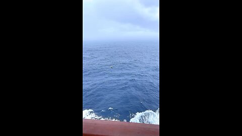 MSC Seashore cruises | balcony and view