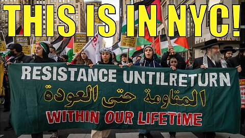 Protestors CLASH in AMERICA Over Palestine & Israel