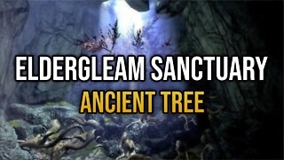 Skyrim Explored - Eldergleam Sanctuary